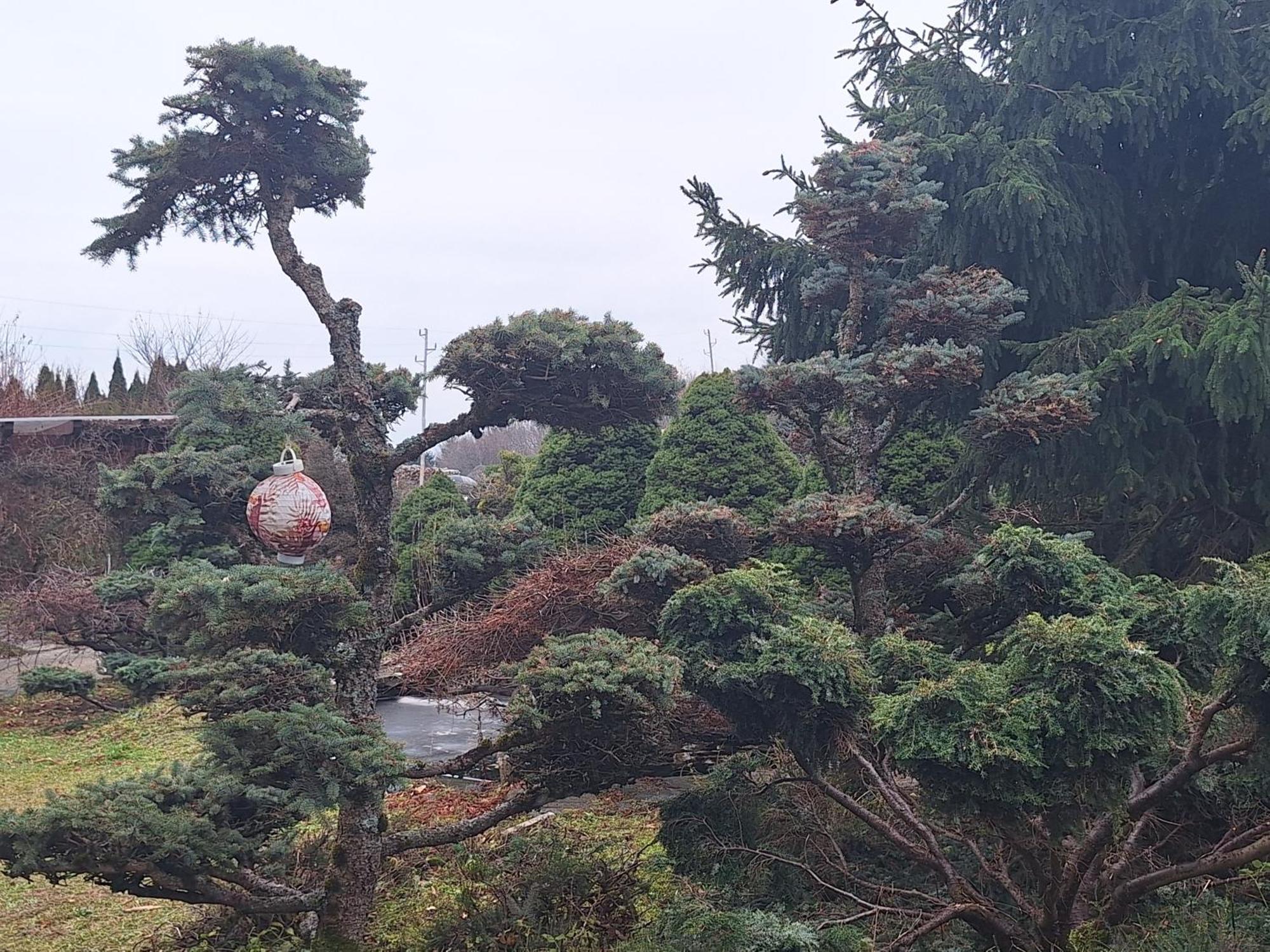 Pohorje Zen Garden Villa Hočko Pohorje Exterior foto