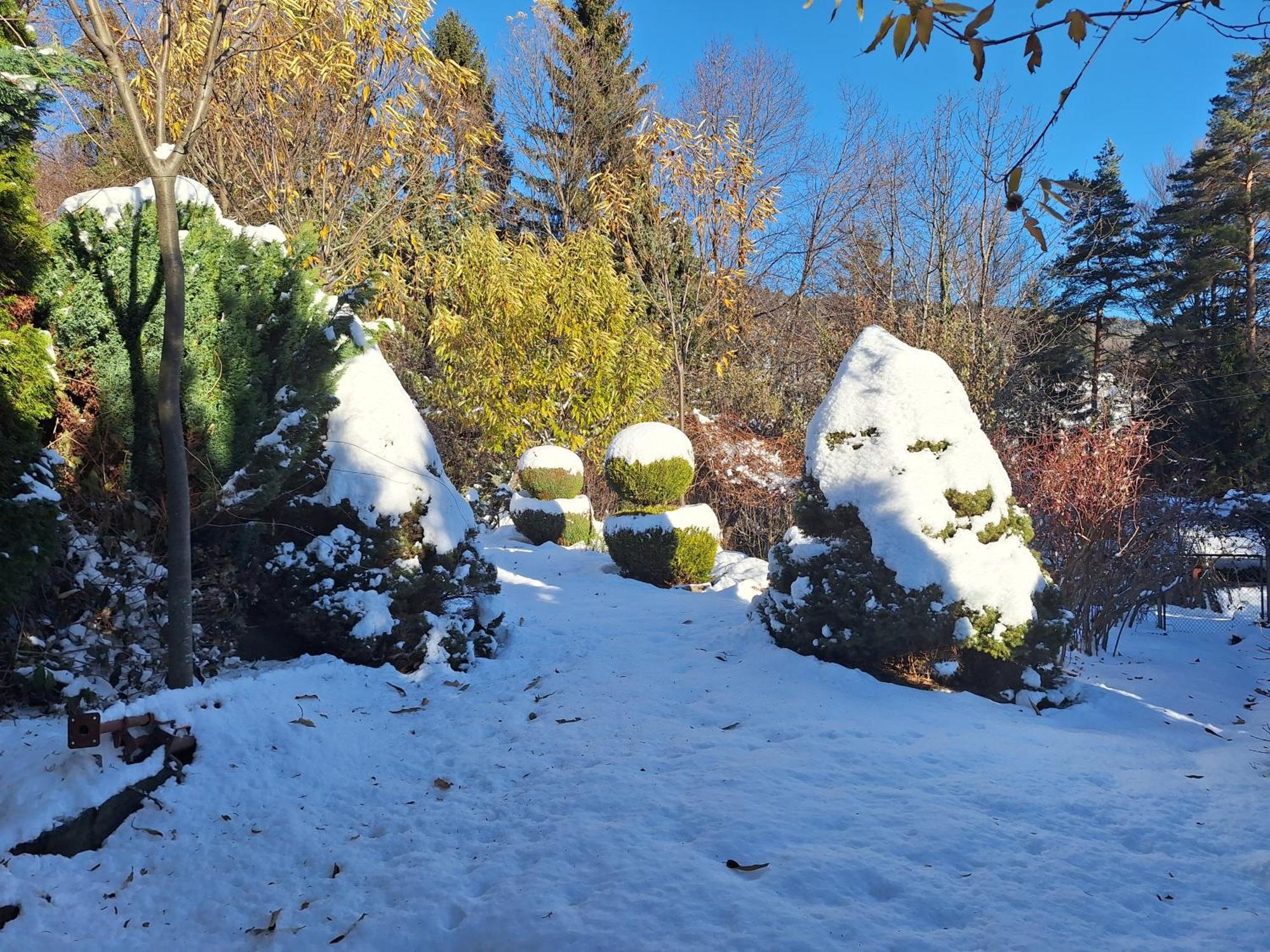 Pohorje Zen Garden Villa Hočko Pohorje Exterior foto