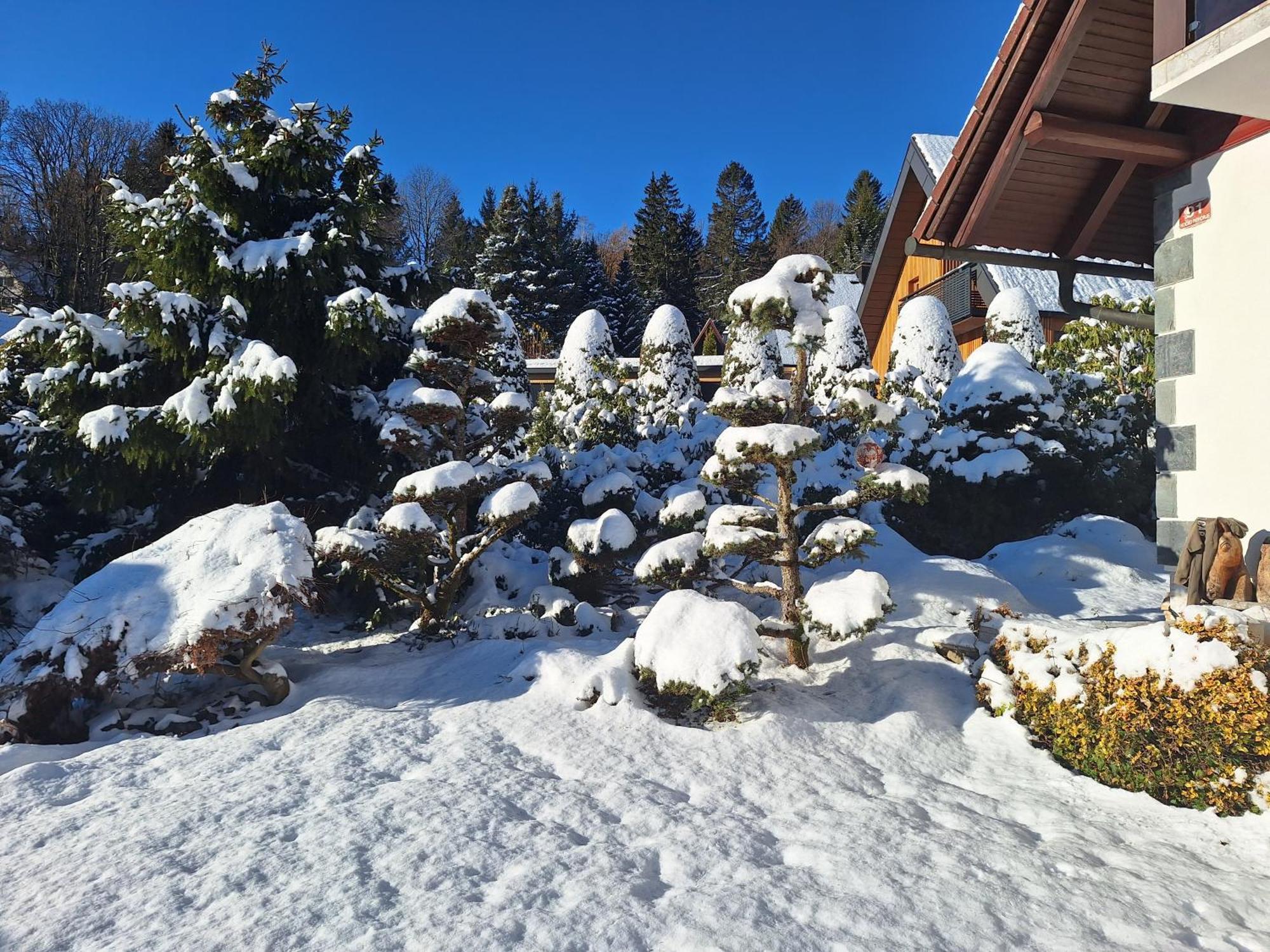 Pohorje Zen Garden Villa Hočko Pohorje Exterior foto